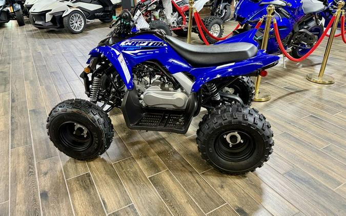 2026 Yamaha Raptor 110