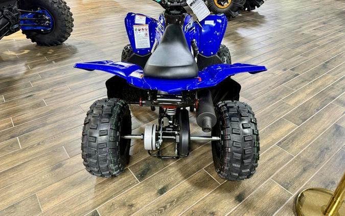 2026 Yamaha Raptor 110