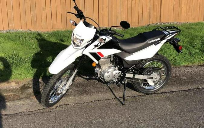 2023 Honda XR150L First Look [8 Fast Facts + 21 Photos]