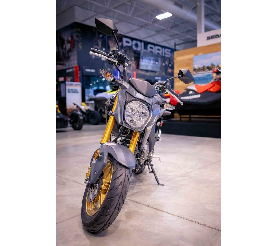 2024 Kawasaki Z125 PRO