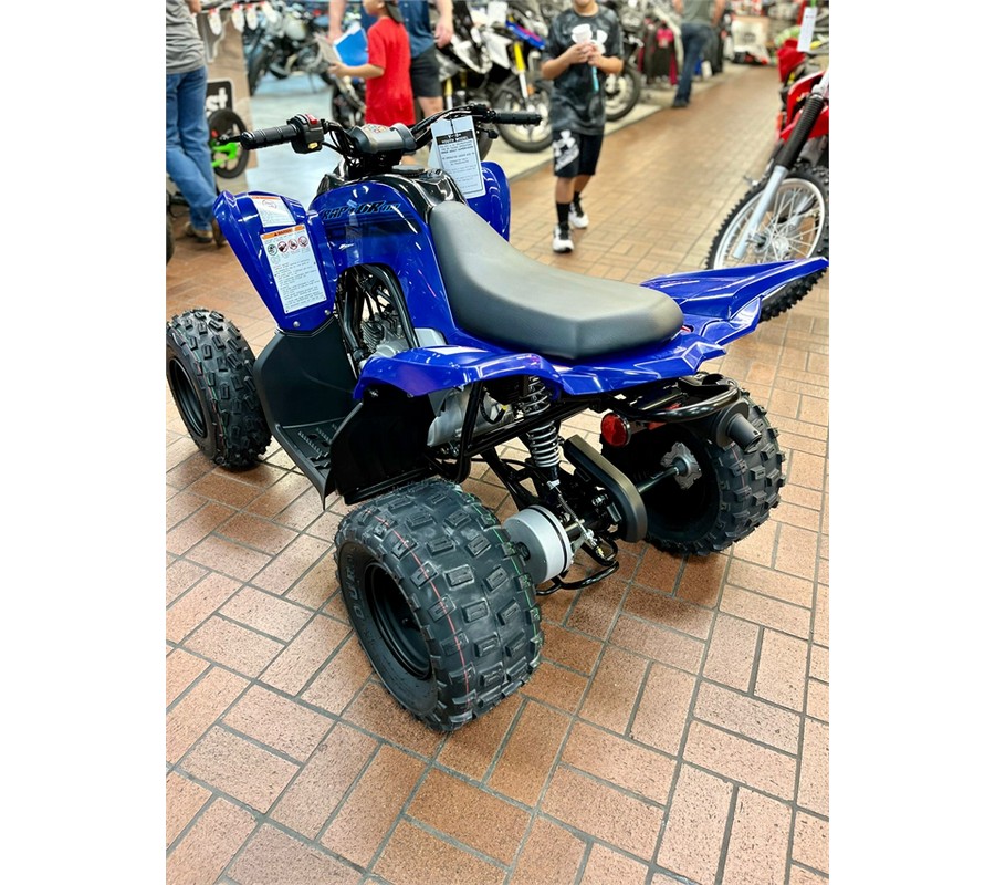 2024 Yamaha Raptor 110