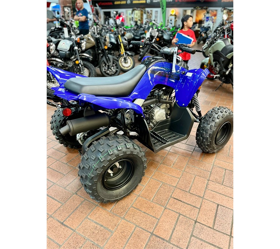 2024 Yamaha Raptor 110