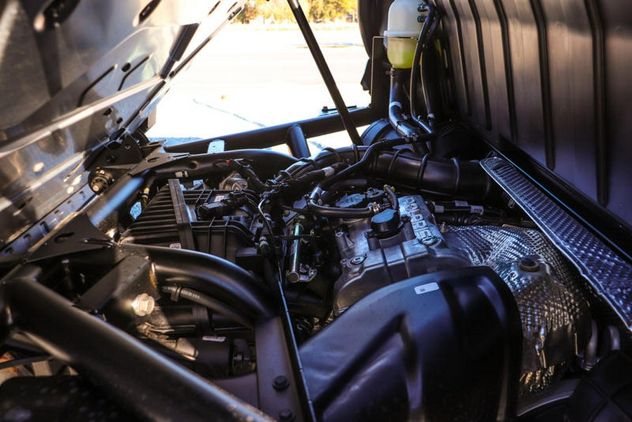 2025 Polaris® XPedition XP NorthStar