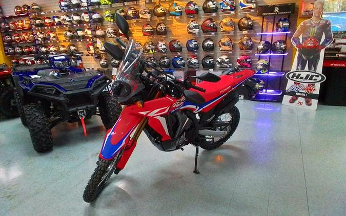 2024 Honda® CRF300L Rally