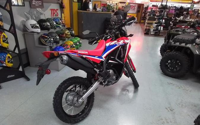 2024 Honda® CRF300L Rally