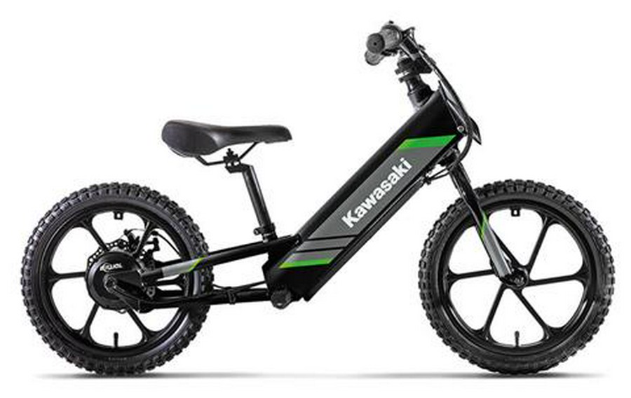 2025 Kawasaki Elektrode® 16