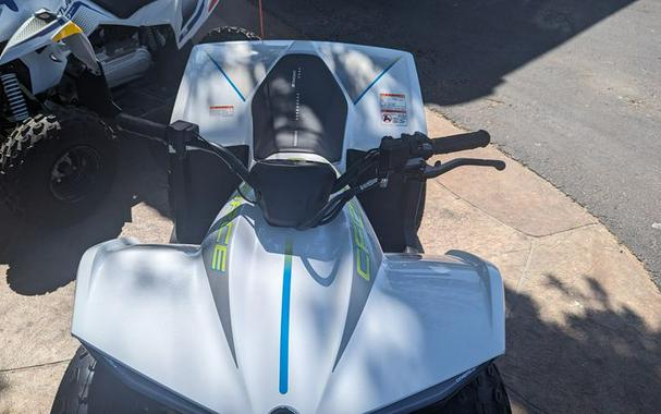 New 2024 CFMOTO CFORCE 110 EV