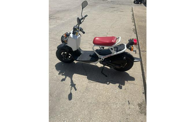 2015 Honda Ruckus