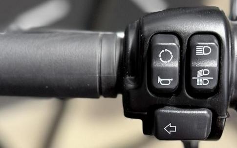 2021 Harley-Davidson® FLSL - Softail Slim®