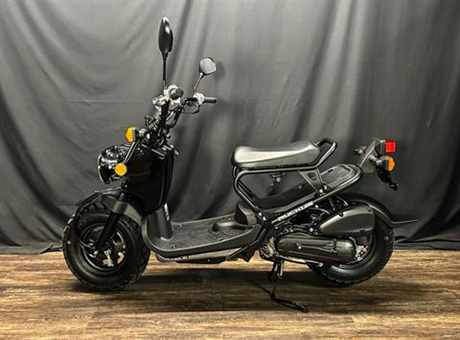 2024 Honda Ruckus