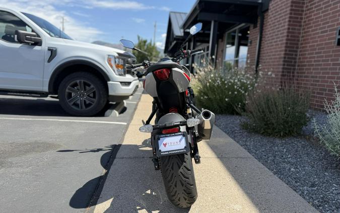 2026 Triumph Trident 800 Ash Grey