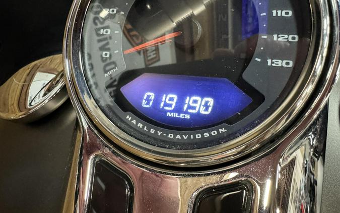 2020 Harley-Davidson® Sport Glide® River Rock Gray Denim FLSB