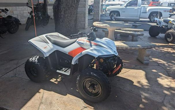 New 2024 CFMOTO CFORCE 110 EV