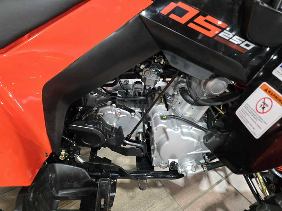 2026 CAN-AM DS 250