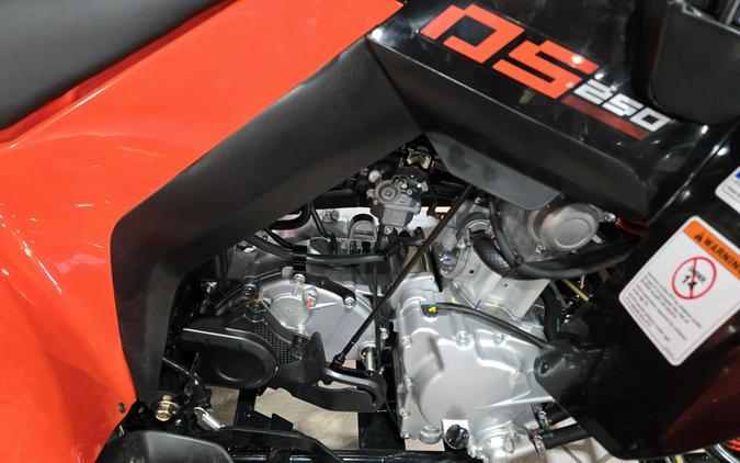 2026 CAN-AM DS 250