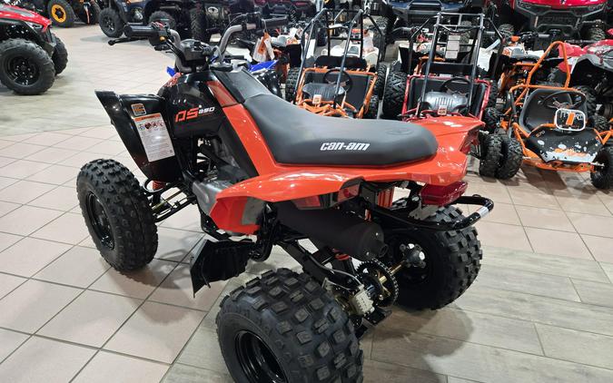 2026 CAN-AM DS 250