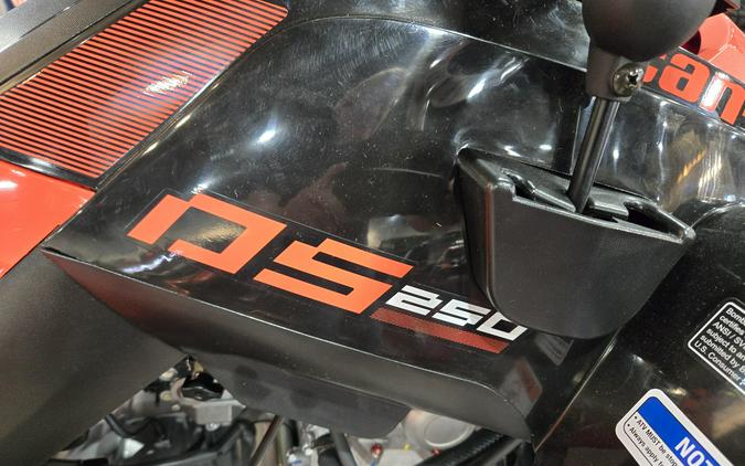 2026 CAN-AM DS 250