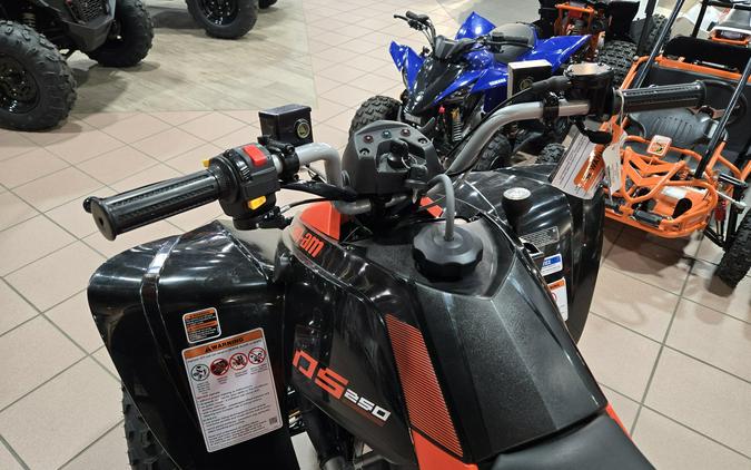2026 CAN-AM DS 250