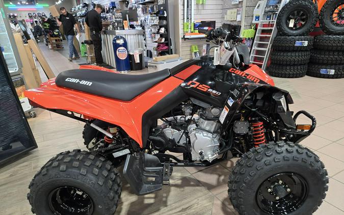 2026 CAN-AM DS 250