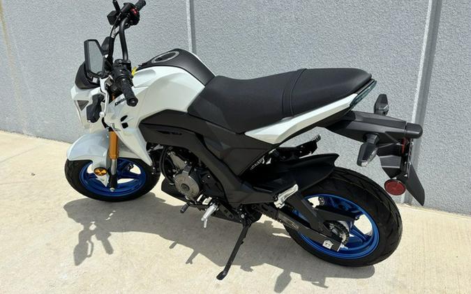 2026 Kawasaki Z125 PRO