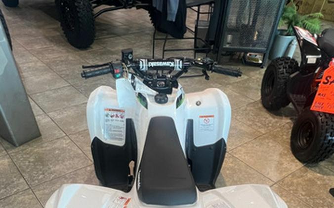 2026 Kawasaki KFX 50