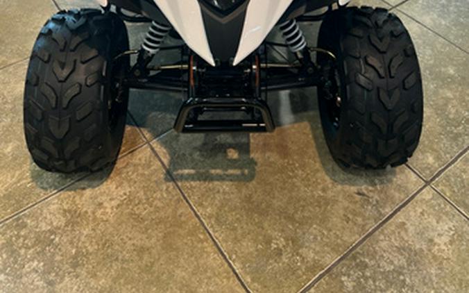 2026 Kawasaki KFX 50