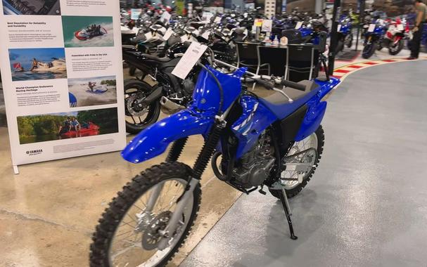 2025 Yamaha TT-R230