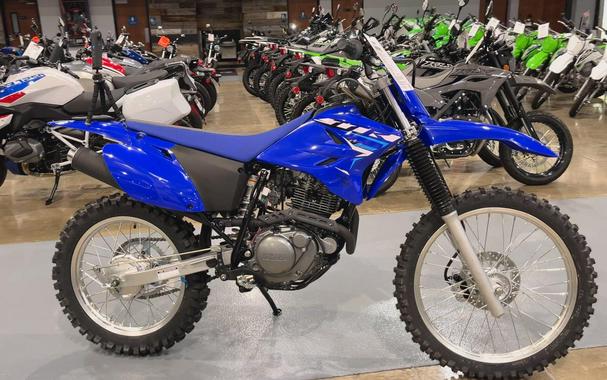 2025 Yamaha TT-R230