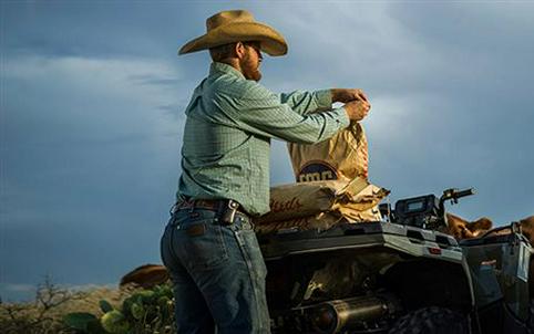 2023 Polaris Sportsman 450 HO Base