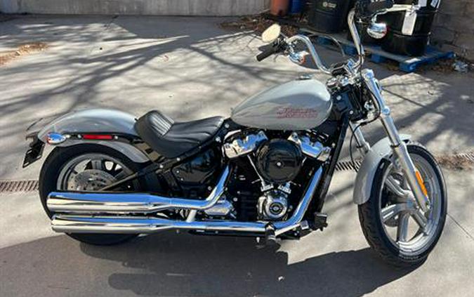 2024 Harley-Davidson Softail® Standard