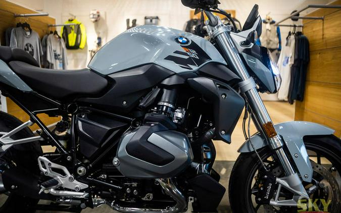 2023 BMW R 1250 R Ice Gray