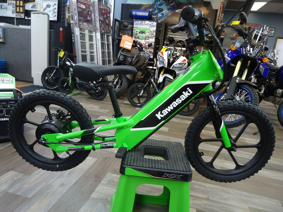 2023 Kawasaki Elektrode