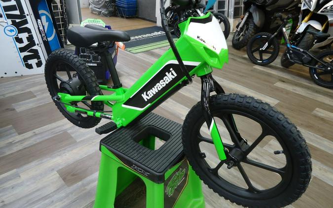 2023 Kawasaki Elektrode