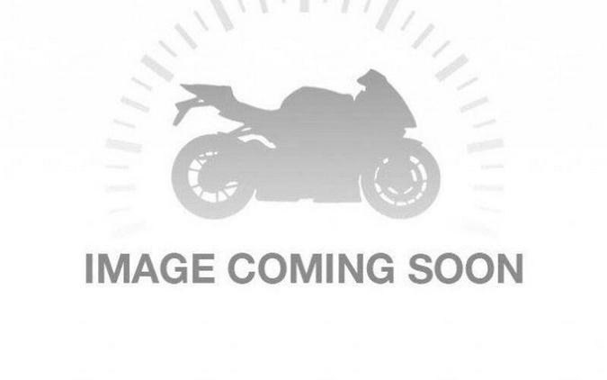 2024 BMW R 1250 RS