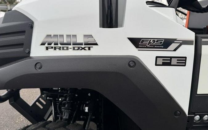 2025 Honda Pioneer 1000-5 Trail Special Edition