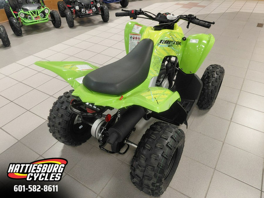 2026 Yamaha Raptor 110