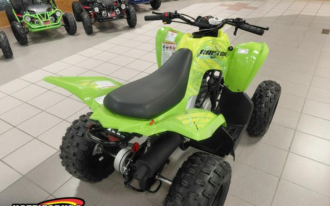 2026 Yamaha Raptor 110