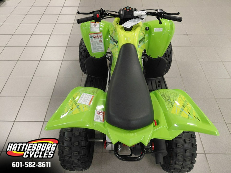 2026 Yamaha Raptor 110
