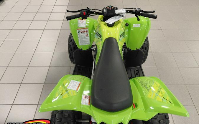 2026 Yamaha Raptor 110