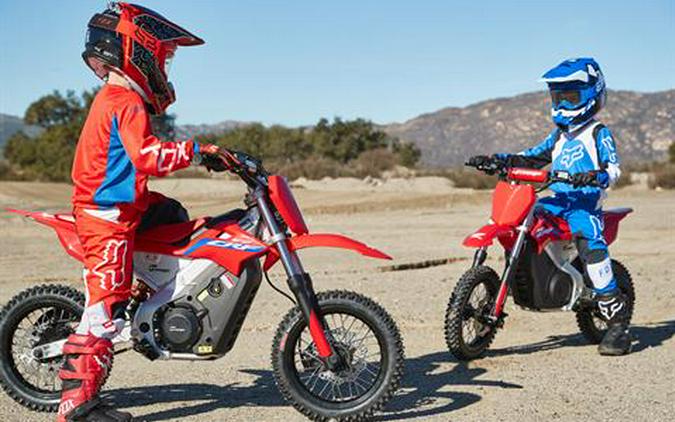 2021 Greenger Powersports CRF E-2