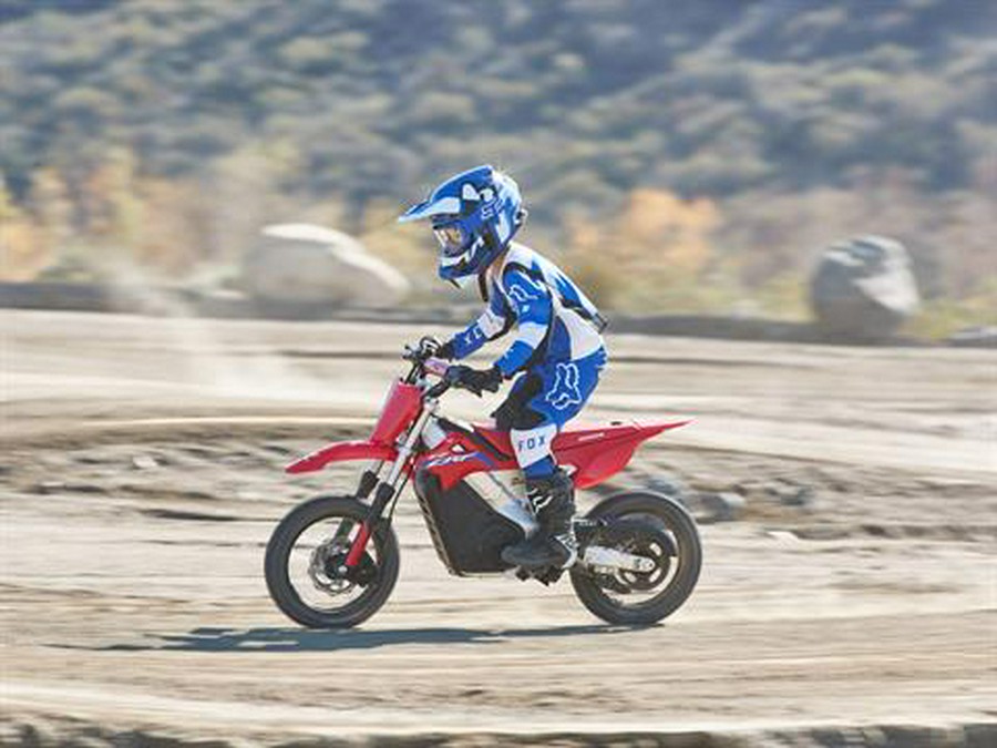 2021 Greenger Powersports CRF E-2