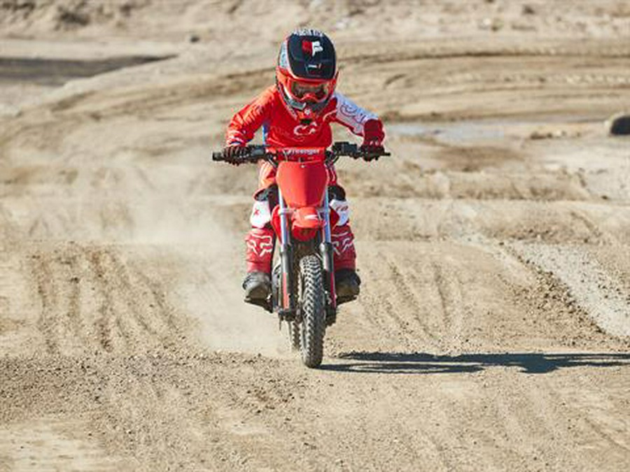 2021 Greenger Powersports CRF E-2