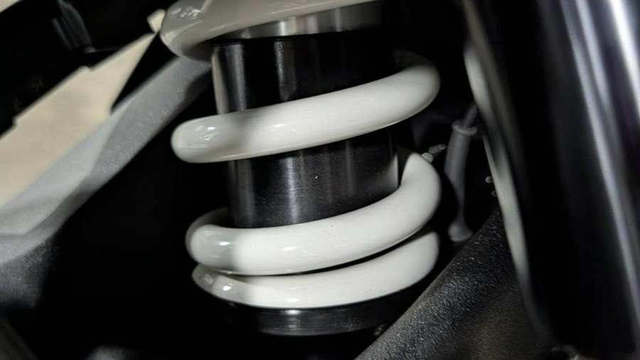 2025 BMW R 1300 GS Light White