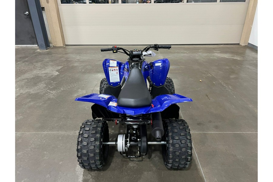 2025 Yamaha Raptor 110