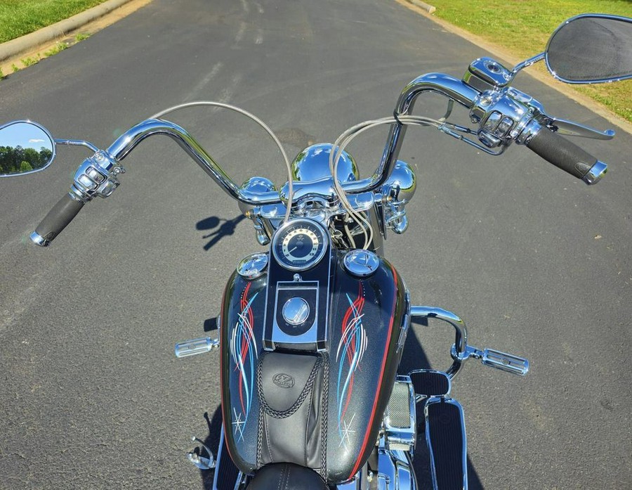 2005 Harley-Davidson® FLSTN - Softail® Deluxe