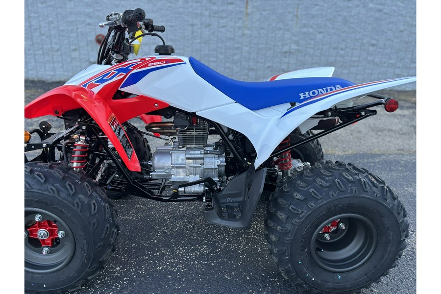 2026 Honda TRX 250X