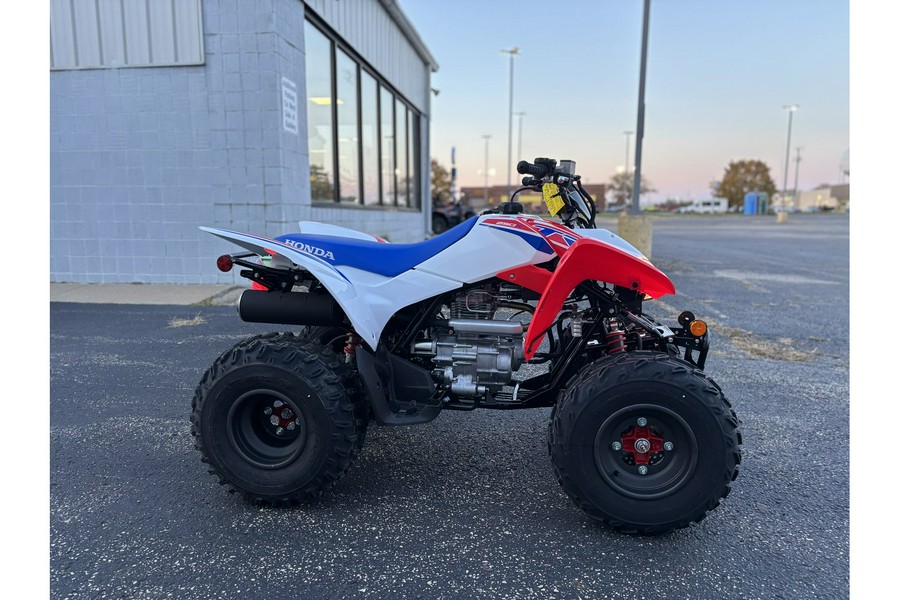 2026 Honda TRX 250X
