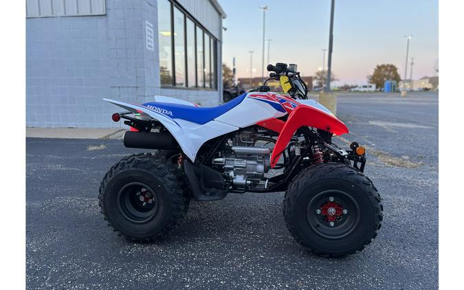 2026 Honda TRX 250X