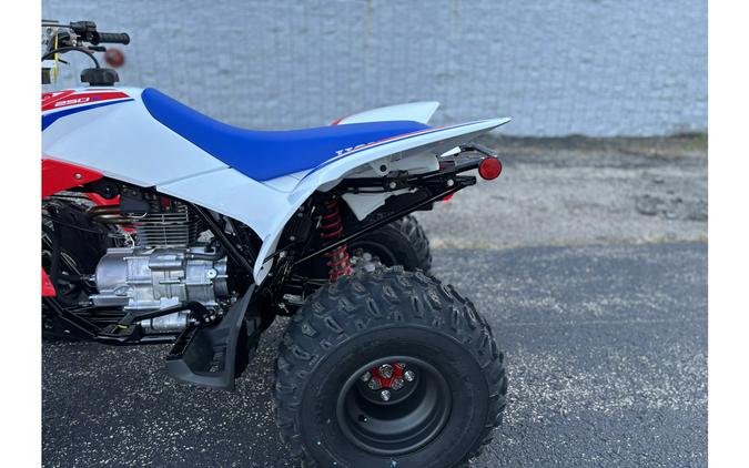 2026 Honda TRX 250X