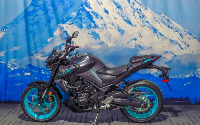 2024 Yamaha MT-03